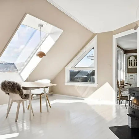 Rom I Loftsleilighet Med Utsikt Берген